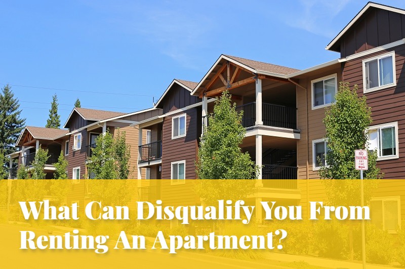 What Can Disqualify You From Renting An Apartment